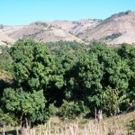 Z'Orange valley Z'Orange valley