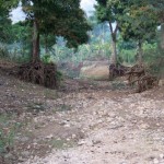 Dried up river bed