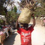 Roadside market