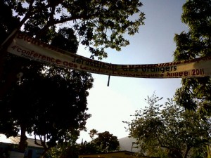 IMG00008-20120121-0820