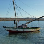 Boats used to transport food Boats used to transport food