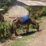 Transportation