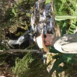 Bro. Chuck at waterfall Bro. Chuck at waterfall