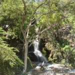 Waterfall Waterfall
