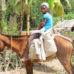Haiti Haiti
