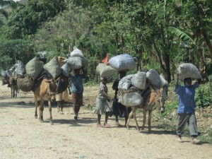 Bringing charcoal back from market