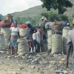 Charcoal for sale Charcoal for sale