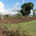 Land we might buy Land we might buy
