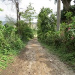 Path to Daniel's Path to Daniel's