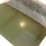 Cistern with tadpoles