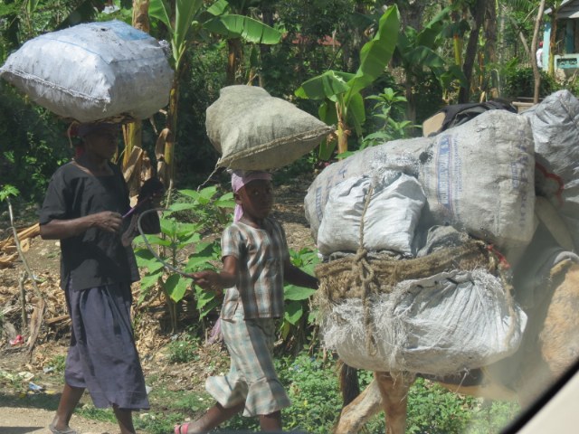 Bringing charcoal back from market