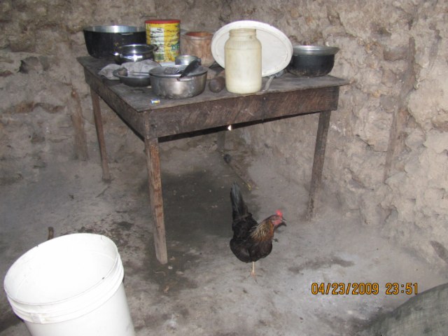 Chicken for supper!